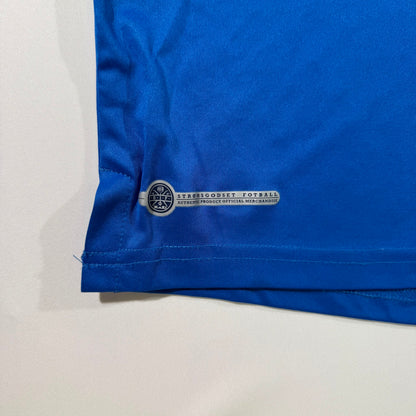 Strømsgodset 2013 home (L)