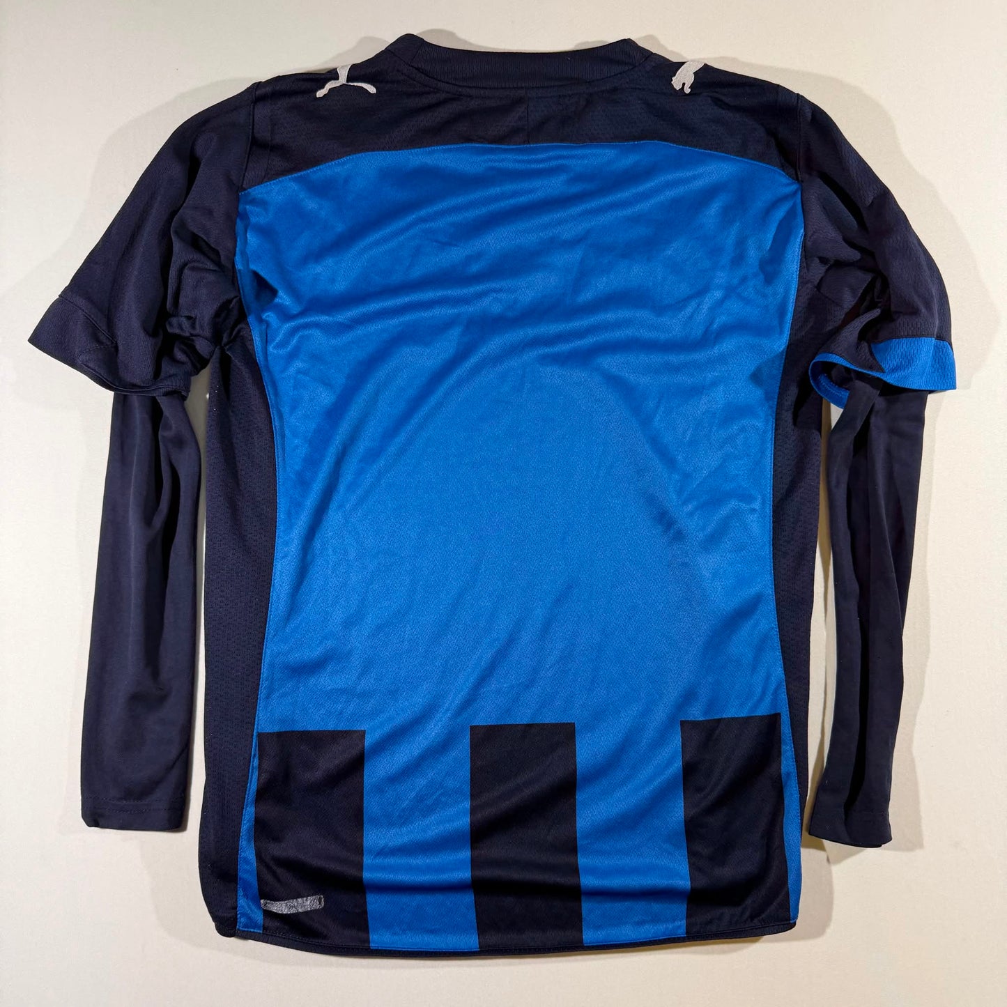 Stabæk 2009 home (S)
