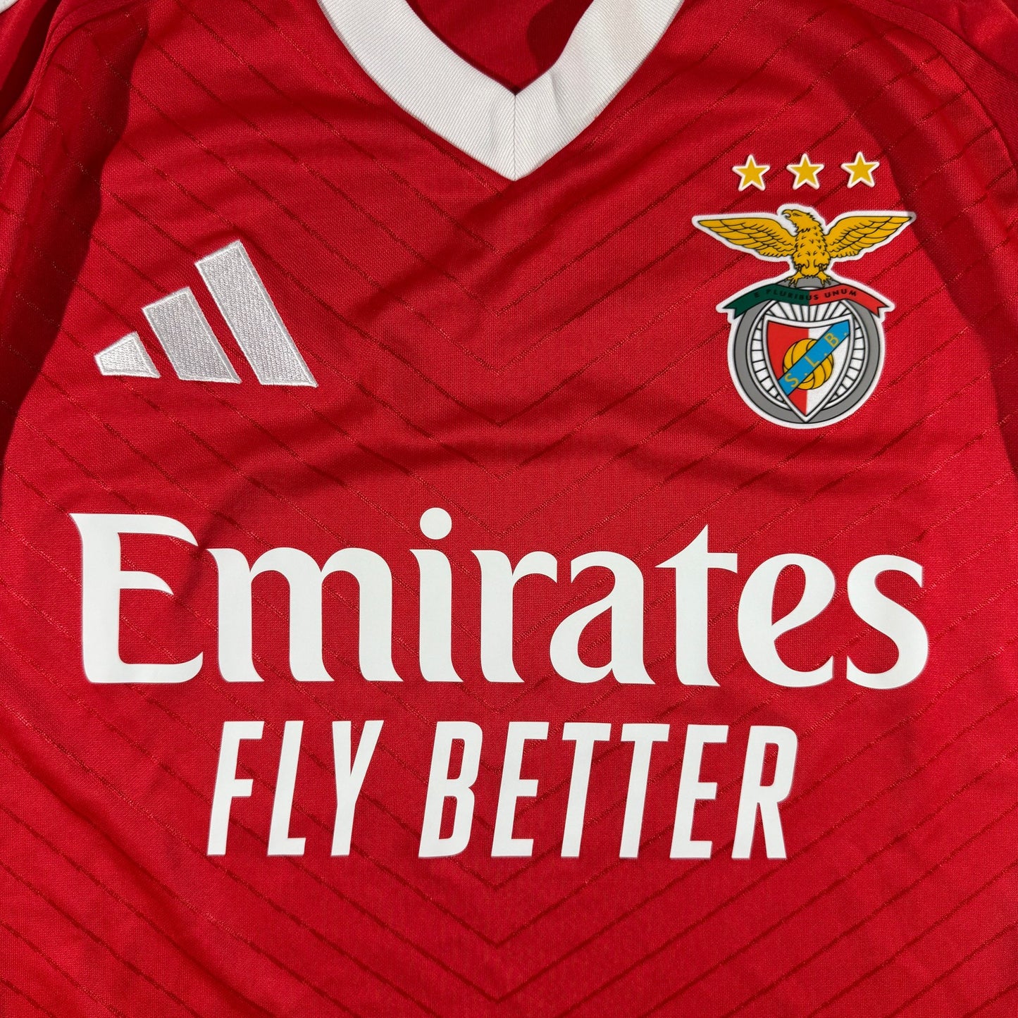 Benfica 2024/25 home (M)