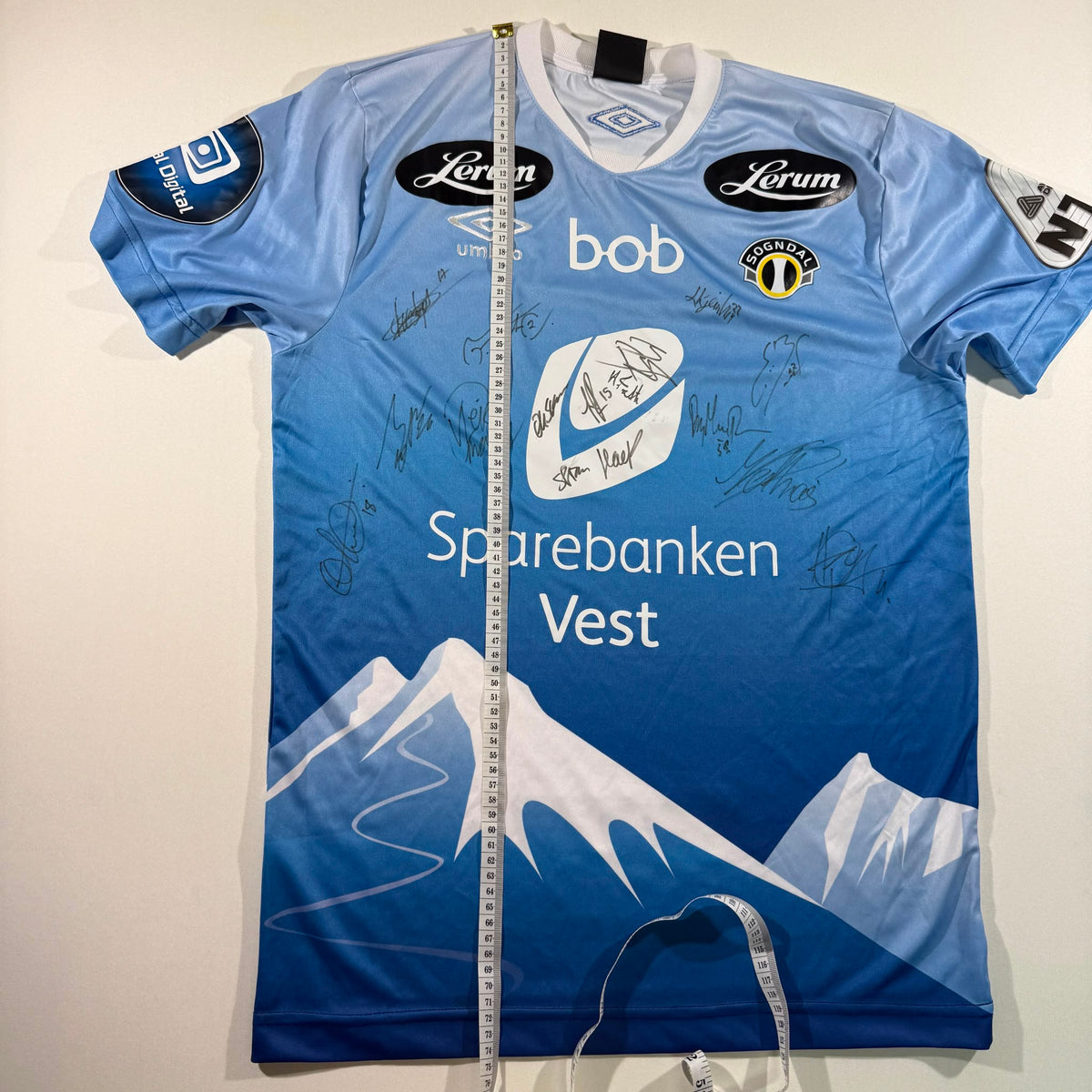 Sogndal 2016 fjell signed (L)
