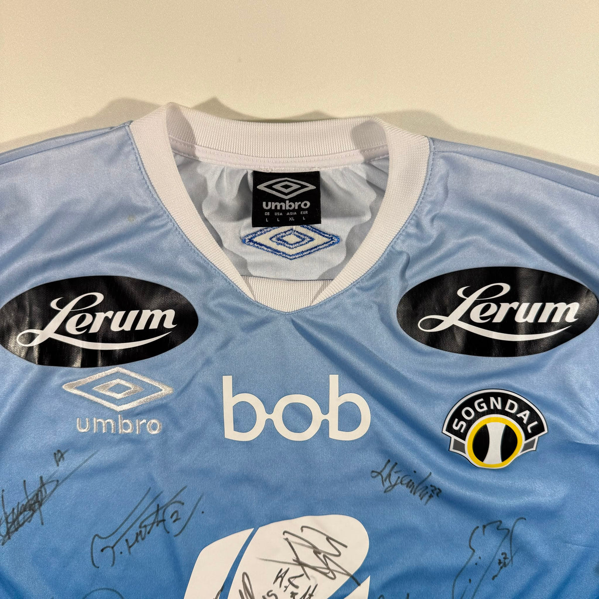 Sogndal 2016 fjell signed (L)