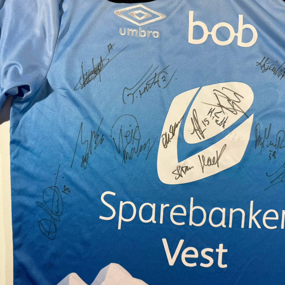 Sogndal 2016 fjell signed (L)