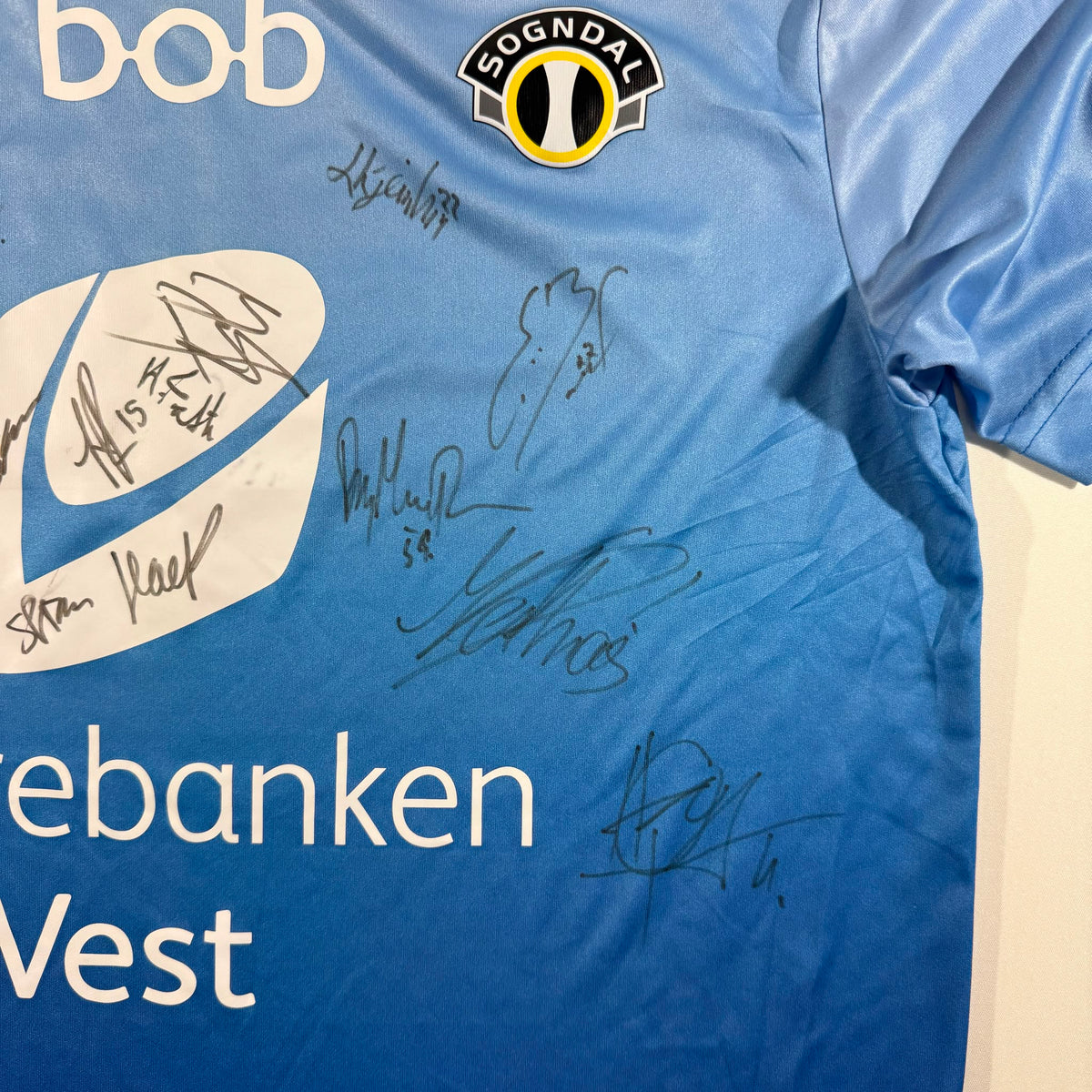 Sogndal 2016 fjell signed (L)