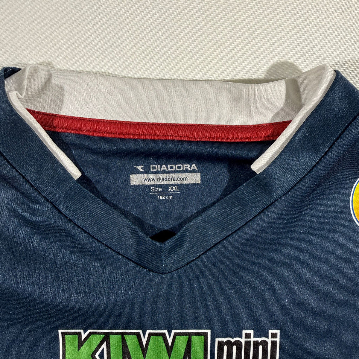 Strømsgodset 2015 home (XXL)