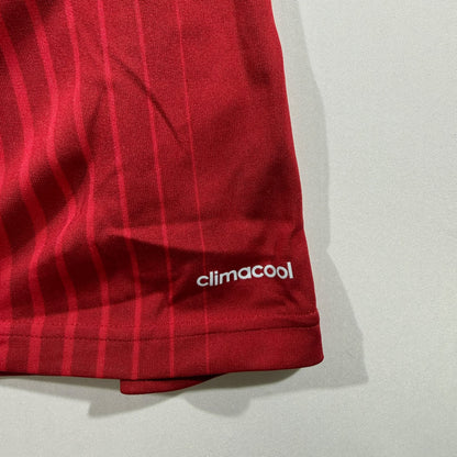 Spain 2014 home shirt #6 Andrés Iniesta (L)