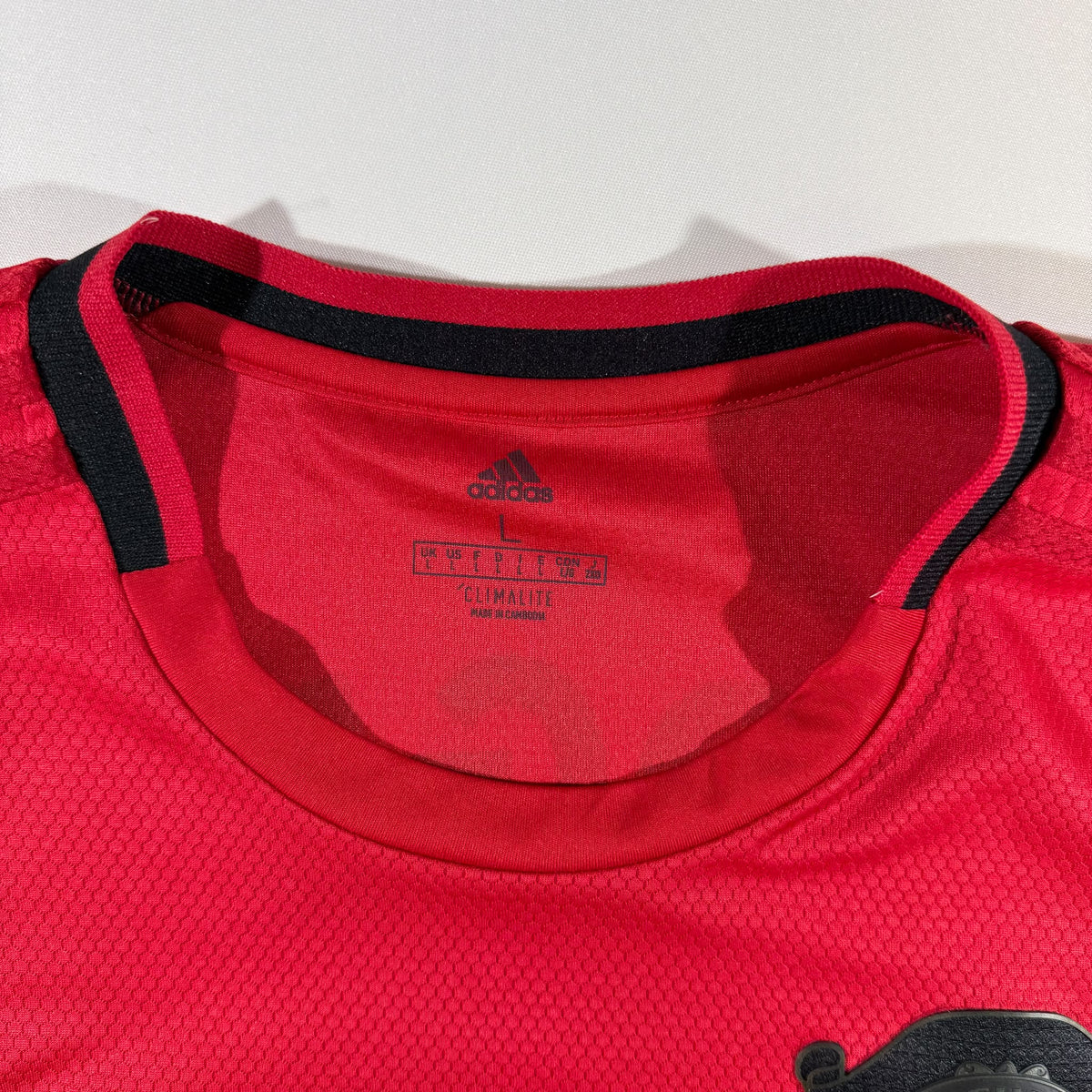 Manchester United 2019/20 home shirt #6 Paul Pogba (L)