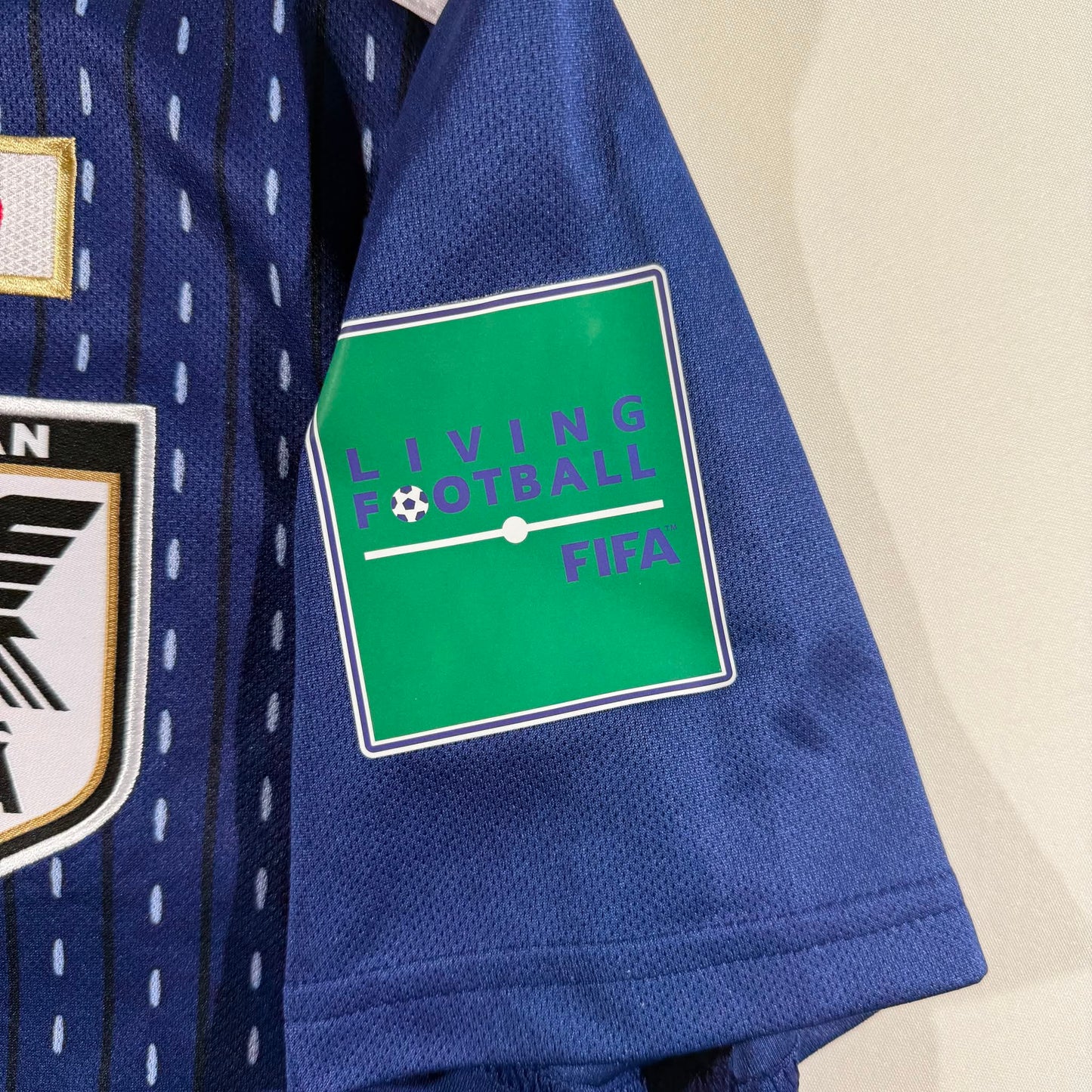 Japan 2018 home #14 Takashi Inui